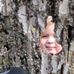 Profile Picture of Thomas Zadlo (@thomas.zadlo) on Facebook