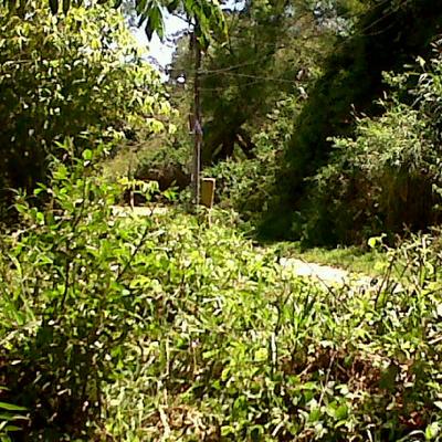 Profile Picture of Jose Vasques (@JoseJosevasques) on Twitter