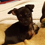 Profile Picture of Bella Montano (@bianca.montano.961) on Instagram