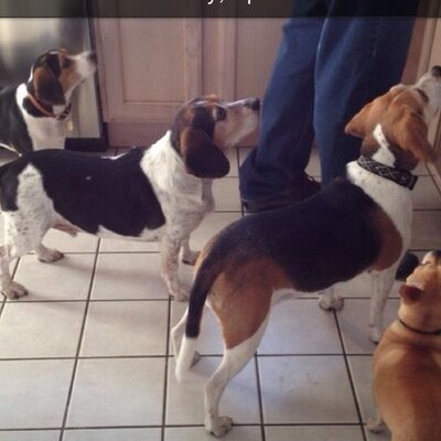 Profile Picture of Jeremy (@Jeremy_bunnell) on Twitter