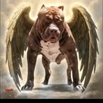 Ger John - Facebook Profile Picture of Ger John (@Ger-John) on Facebook