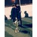 Profile Picture of Jared Reza Díaz (@jared.rezadiaz.7) on Facebook