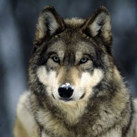 Profile Picture of James Dosdall (@james-dosdall) on Quora