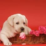 Profile Picture of Inger Bland (@Inger-Bland) on Facebook