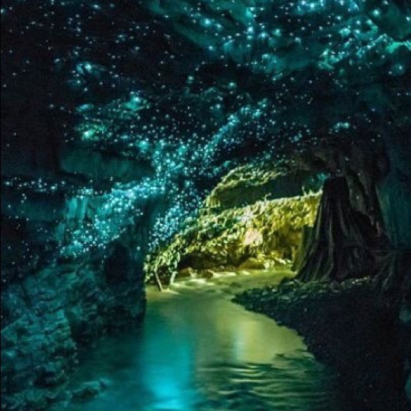 Profile Picture of Vita Monarrez (@vimo12) on Poshmark