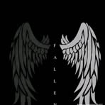 Profile Picture of Orian David (@Orian-David) on Facebook