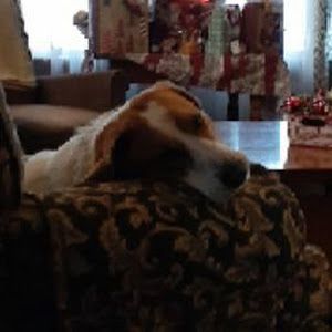 Profile Picture of Jim Callahan (@@jimcallahan) on Tiktok