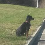 Profile Picture of Charles O'reilly (@oreillycharles) on Instagram