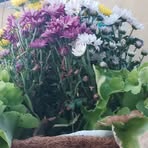 Profile Picture of Kenny Tat (@Kenny-Tat) on Facebook