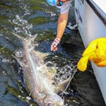 Profile Picture of Jim Pickett (@jpickett62) on Instagram