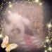 Profile Picture of Ariana Roach (@ariana.roach.10) on Facebook