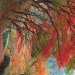 peters - Instagram Profile Picture of peters (@lipinskicharil) on Instagram