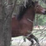 Profile Picture of Joanne Sanders Qualls (@joannesanders.qualls) on Facebook