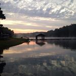 Profile Picture of Tyler Zinna (@appazinna) on Instagram