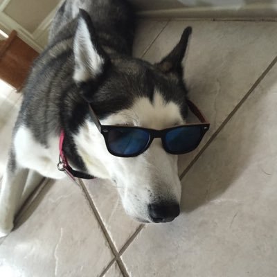 Profile Picture of Alexander $wan (@AlexanderSwan1) on Twitter