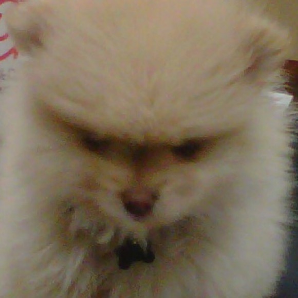 Profile Picture of Lisa Ortiz (@lisao45) on Poshmark