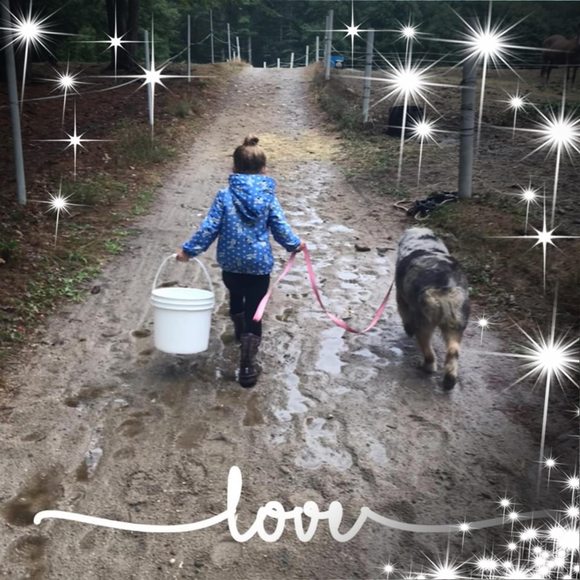 Profile Picture of Joanne Menard-talbot (@joantalb5) on Poshmark