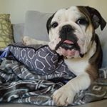 Profile Picture of Michael Fain (@namesfain) on Instagram