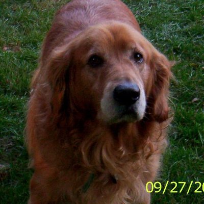 Profile Picture of Hollie Christopher (@Ohleeahcris1) on Twitter