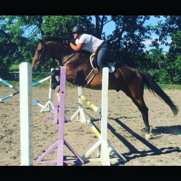 Profile Picture of Dawn Hommel-colosi (@rutheir15) on Poshmark