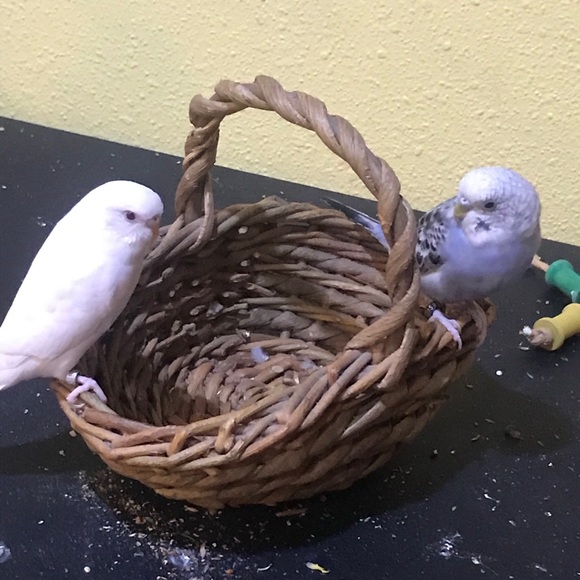 Profile Picture of Maleah Schellack (@maleahschellack) on Poshmark