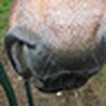 Maggi Holbert - Flickr Profile Picture of Maggi Holbert (@maggih) on Flickr