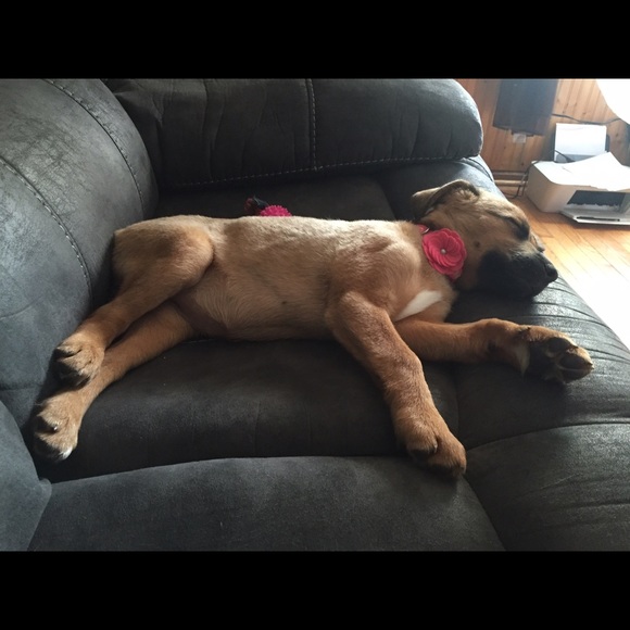 Profile Picture of Bree Peterson (@breepeterson) on Poshmark