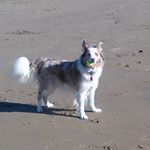 Profile Picture of Lisa Neave (@neavelisa) on Instagram