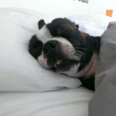Profile Picture of Steven Mullenix (@tech_phantom) on Twitter