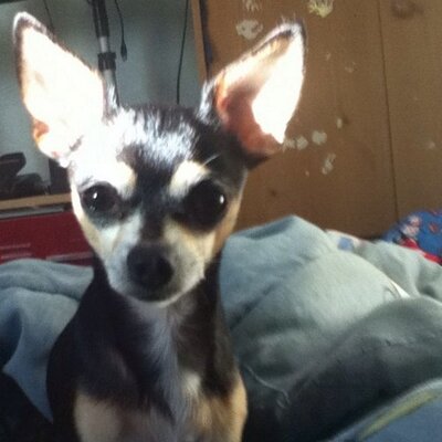 Profile Picture of Ivan Tenorio (@ivantenorio2000) on Twitter