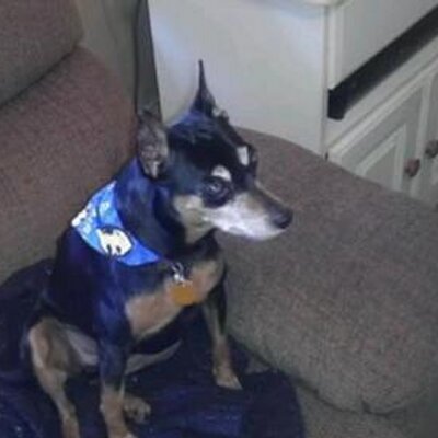 Profile Picture of Jo Batman (@iambatwoman) on Twitter