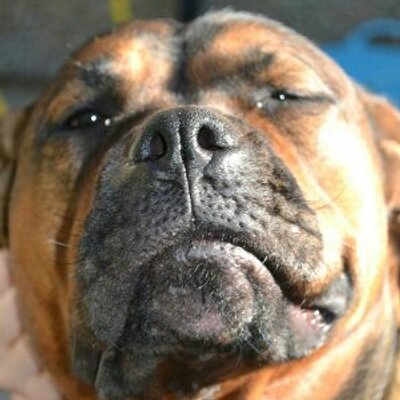 Profile Picture of Adam Drury (@AdamDDrury) on Twitter