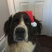 Profile Picture of Kevin McCloskey (@kevin.mccloskey.7) on Facebook