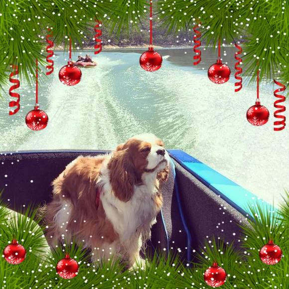 Profile Picture of Amanda Snowy (@amanda_snowy) on Poshmark