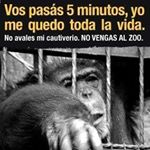 Profile Picture of David Lanuto (@davidlanuto) on Instagram