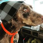 Profile Picture of Benjamin Zender (@bjammin88z) on Instagram