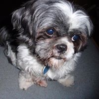 Profile Picture of Ralph Haney (@ralph-haney-1) on Quora