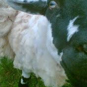 Profile Picture of Gerhardt Muller (@gerhardtmuller7439) on Youtube