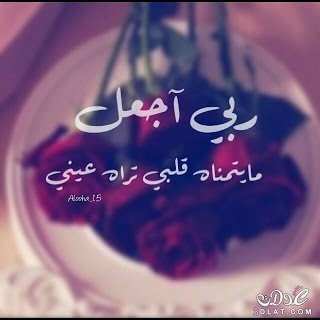 Profile Picture of Doaa Soliman (@Doaa23087044) on Twitter