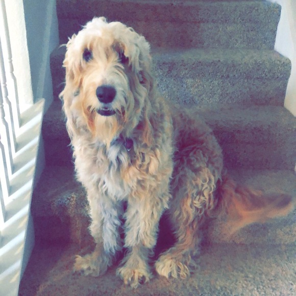 Profile Picture of Jade Raiten (@jaderaiten) on Poshmark