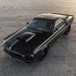 Profile Picture of Shukrullo Shokirjonov (@shukrulloshokirjonov) on Instagram