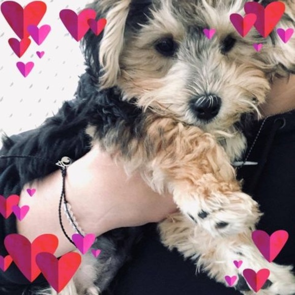 Profile Picture of April Thompson (@aprilthompso442) on Poshmark