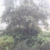 Profile Picture of Samuel Albrecht (@SamuelAlbrecht-ly3os) on Youtube