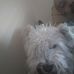 Profile Picture of Carroll Wagoner (@carroll.wagoner.5) on Facebook