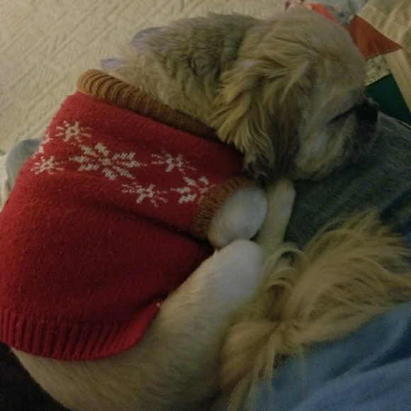 Profile Picture of Stephanie Schneider (@alex41174) on Poshmark