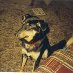 Profile Picture of Matthew Gaul (@matthew.gaul.397) on Facebook