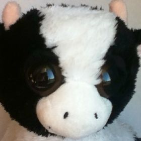 Profile Picture of Audrey Binder (@joeythegoat) on Pinterest