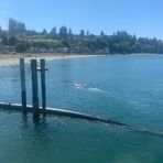 Profile Picture of Jacob Mead (@jacob.mead.35) on Facebook