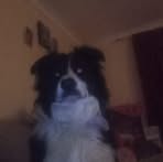 Profile Picture of Stephen McGlone (@stephen.mcglone.10) on Facebook