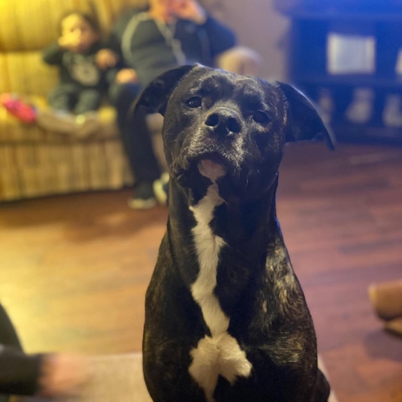 Profile Picture of Joanne Cox (@joanne_cox) on Poshmark